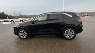 2022 Ford Escape SEL in Alliston, Ontario - 5 - w320h240px