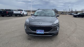 2022 Ford Escape Titanium Hybrid in Alliston, Ontario - 3 - w320h240px