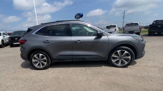 Ford Escape Platinum 2024 à Alliston, Ontario - 5 - w320h240px