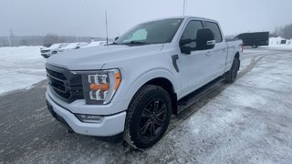 2022 Ford F-150 XLT in Alliston, Ontario - 4 - w320h240px
