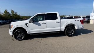 2023 Ford F-150 XLT in Alliston, Ontario - 5 - w320h240px