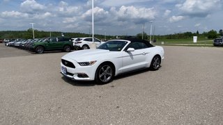 Ford Mustang V6 2017 à Alliston, Ontario - 4 - w320h240px