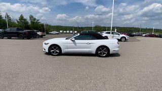 Ford Mustang V6 2017 à Alliston, Ontario - 5 - w320h240px