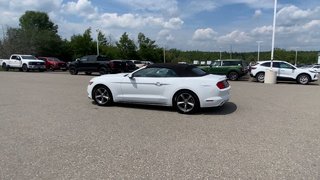 Ford Mustang V6 2017 à Alliston, Ontario - 6 - w320h240px