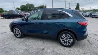 Ford Escape SEL 2020 à Alliston, Ontario - 6 - w320h240px