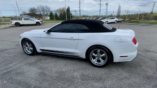 Mustang V6 2017 à Alliston, Ontario - 6 - w320h240px