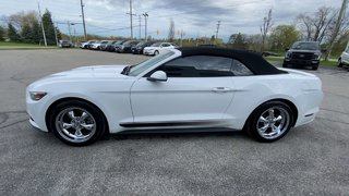 Mustang V6 2017 à Alliston, Ontario - 5 - w320h240px