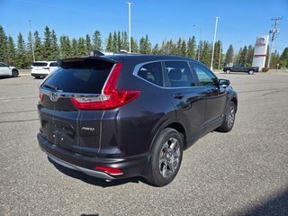 2019 Honda CR-V EXL in Temiskaming Shores, Ontario - 4 - w320h240px