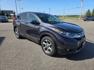 2019 Honda CR-V EXL in Temiskaming Shores, Ontario - 3 - w320h240px