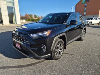 Toyota RAV4 HYBRID LIMITED 2023 à Temiskaming Shores, Ontario - 2 - w320h240px