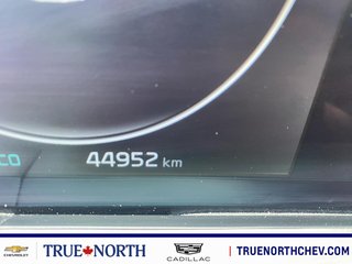2024 Kia TELLURIDE in North Bay, Ontario - 8 - w320h240px