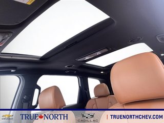 2024 Kia TELLURIDE in North Bay, Ontario - 12 - w320h240px
