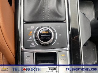 2024 Kia TELLURIDE in North Bay, Ontario - 11 - w320h240px