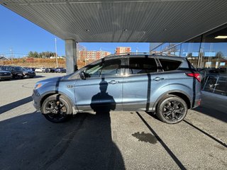 2018 Ford Escape SE FWD in Saint-Georges, Quebec - 6 - w320h240px