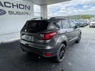 2019  Escape Titanium 4WD in Saint-Georges, Quebec - 3 - w320h240px