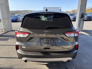 2020  Escape SE AWD in Saint-Georges, Quebec - 4 - w320h240px