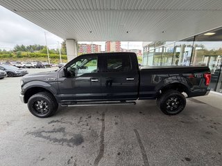 Ford F 150 XLT 2015 à Saint-Georges, Québec - 6 - w320h240px