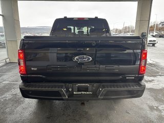 Ford F-150 XLT 4WD SuperCrew 5.5' Box 2021 à Saint-Georges, Québec - 4 - w320h240px