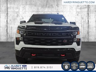 Chevrolet Silverado 1500 Custom Trail Boss 2023