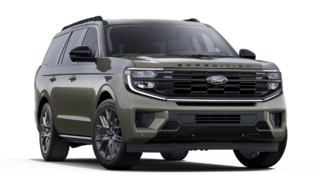 Ford Expedition Platinum 2025 à Matane, Québec - 4 - w320h240px