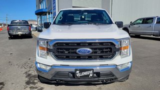 Ford F-150 XLT BOITE DE 8 PIEDS 2021 à Matane, Québec - 2 - w320h240px