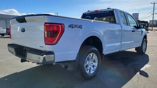 Ford F-150 XLT BOITE DE 8 PIEDS 2021 à Matane, Québec - 5 - w320h240px