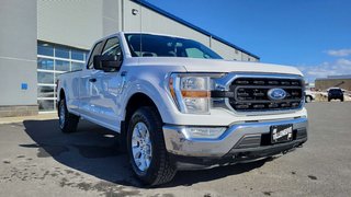 Ford F-150 XLT BOITE DE 8 PIEDS 2021 à Matane, Québec - 3 - w320h240px