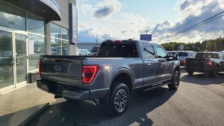 Ford F-150 XLT  SPORT 302A  HYBRIDE 2022 à Matane, Québec - 5 - w320h240px
