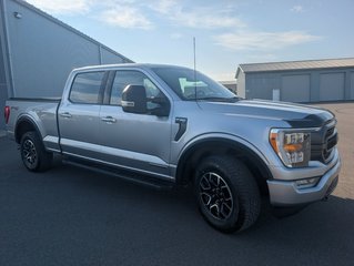 Ford F-150 XLT SPORT 302A HYBRIDE 2022 à Matane, Québec - 3 - w320h240px