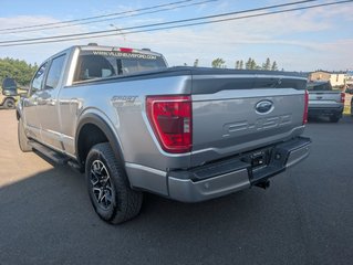 Ford F-150 XLT SPORT 302A HYBRIDE 2022 à Matane, Québec - 6 - w320h240px