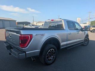 Ford F-150 XLT SPORT 302A HYBRIDE 2022 à Matane, Québec - 4 - w320h240px