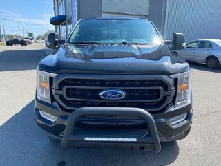 2022 Ford F-150 XLT SPORT 302A HYBRIDE in Matane, Quebec - 2 - w320h240px