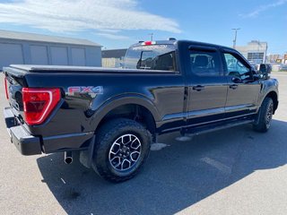 2022 Ford F-150 XLT SPORT 302A HYBRIDE in Matane, Quebec - 4 - w320h240px