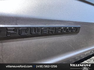 Ford F-150 XLT SPORT 302A HYBRIDE 2023 à Matane, Québec - 6 - w320h240px