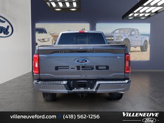 Ford F-150 XLT SPORT 302A HYBRIDE 2023 à Matane, Québec - 3 - w320h240px