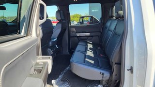 Ford F-150 XLT  SPORT  302A 2023 à Matane, Québec - 6 - w320h240px