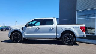 Ford F-150 XLT  SPORT  302A 2023 à Matane, Québec - 2 - w320h240px