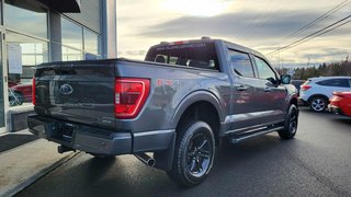 Ford F-150 XLT  SPORT 302A 2023 à Matane, Québec - 3 - w320h240px
