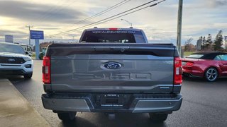Ford F-150 XLT  SPORT 302A 2023 à Matane, Québec - 5 - w320h240px