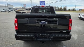 Ford F-150 XLT  SPORT 302A 2023 à Matane, Québec - 6 - w320h240px