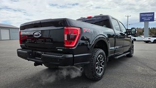 Ford F-150 XLT  SPORT 302A 2023 à Matane, Québec - 5 - w320h240px