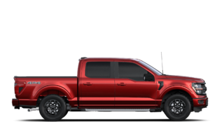 Ford F-150 XLT 2024 à Matane, Québec - 5 - w320h240px