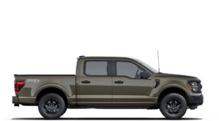 Ford F-150 STX 2025 à Matane, Québec - 5 - w320h240px