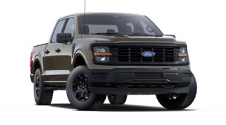 Ford F-150 STX 2025 à Matane, Québec - 4 - w320h240px