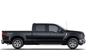 Ford F-150 XLT 2025 à Matane, Québec - 5 - w320h240px