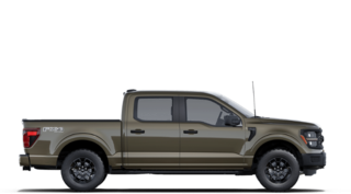 2025 Ford F-150 STX in Matane, Quebec - 5 - w320h240px