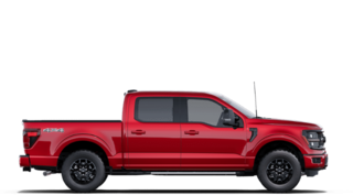2025 Ford F-150 XLT in Matane, Quebec - 5 - w320h240px