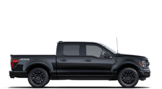 2025 Ford F-150 XLT in Matane, Quebec - 5 - w320h240px