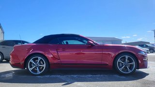 Ford Mustang GT Premium SPECIAL CALIFORNIE 2022 à Matane, Québec - 6 - w320h240px