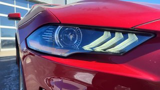 Ford Mustang GT Premium SPECIAL CALIFORNIE 2022 à Matane, Québec - 4 - w320h240px